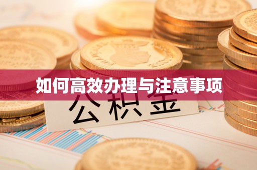 宜宾如何高效办理与注意事项