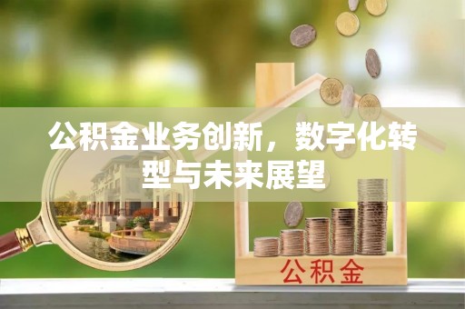 宜宾公积金业务创新，数字化转型与未来展望